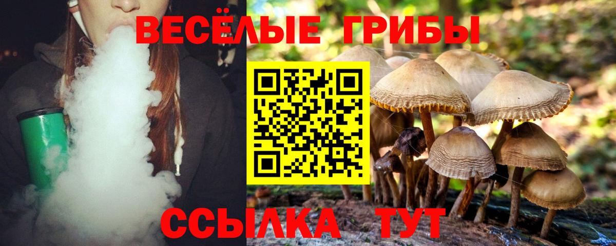 Галлюциногенные грибы Psilocybine cubensis  Вход с VPN  Архангельск  Псилоцибиновые грибы Psilocybe 