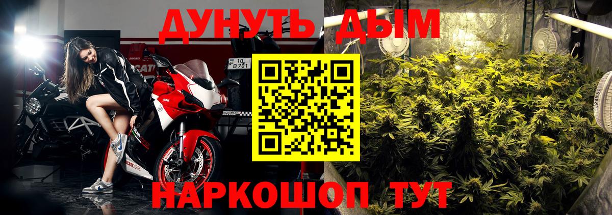 Каннабис OG Kush Архангельск